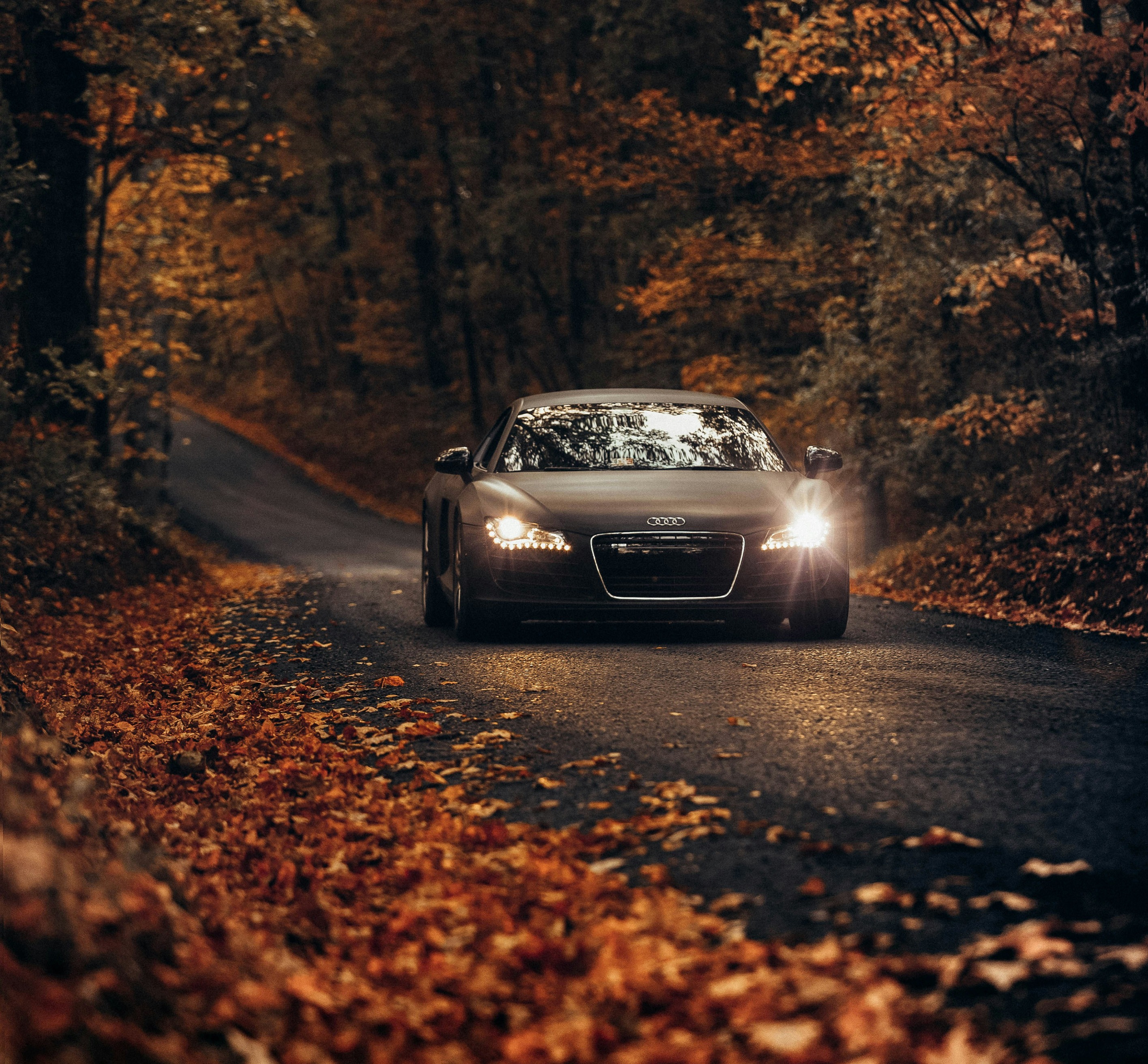 Header banner_images_2_17688954611728452838.jpg Over ons | VANCENTER